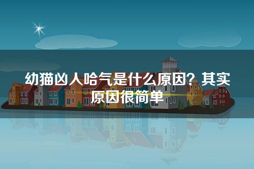 幼猫凶人哈气是什么原因？其实原因很简单